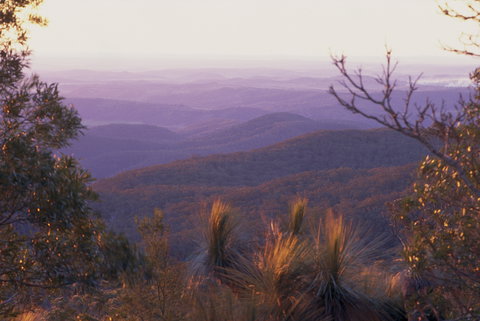 Kumbia - Accommodation Search 1