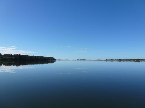 Manning River - Accommodation Search 0