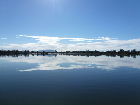 Manning River - Accommodation Search 1