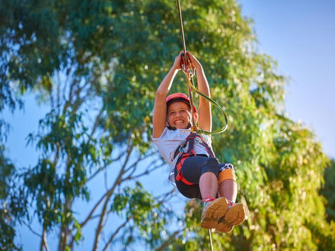 Next Level Monkey Business - Accommodation Search 2