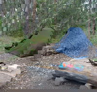 Northbrook Mountain Bush Camp - Accommodation Search