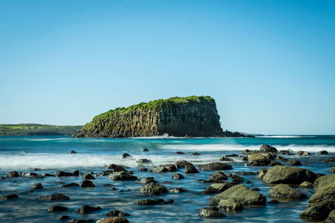 Rangoon Island, Minnamurra - Accommodation Search 0
