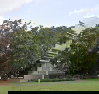State Square Banyan Tree - Accommodation Search