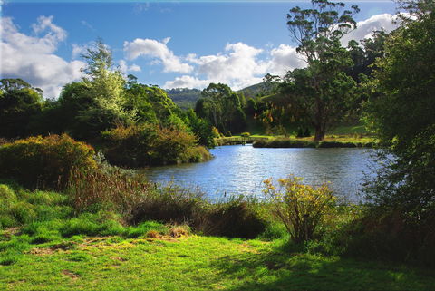 Tasmanian Arboretum Inc. - The - Accommodation Search 0