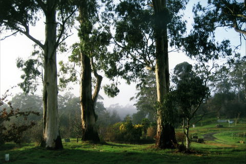Tasmanian Arboretum Inc. - The - Accommodation Search 1