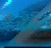 The Zanoni Wreck - Accommodation Search
