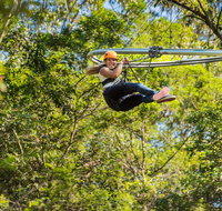 TreeTop Crazy Rider - Accommodation Search