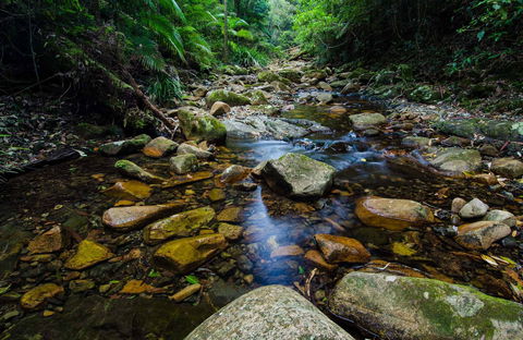Willi Willi National Park - Accommodation Search 0