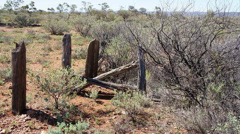 Winnecke Goldfield Cemetery - Accommodation Search 2