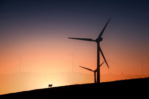 Woakwine Range Wind Farm Tourist Drive - Accommodation Search 0