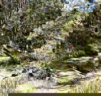 Wollomombi Walking Track - Accommodation Search