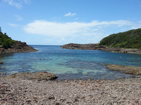 Bass Point Reserve - Accommodation Search 0