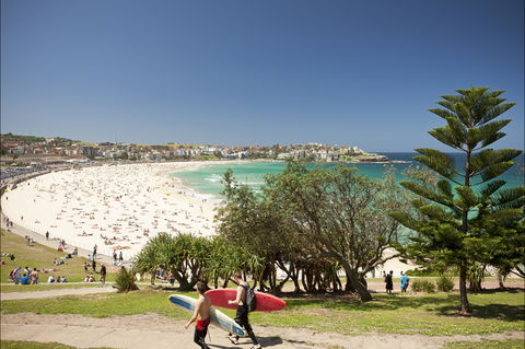 Bondi To Coogee Coastal Walk - Accommodation Search 0