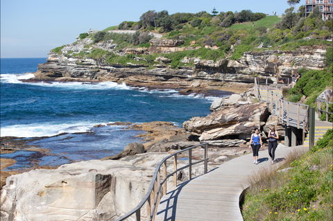 Bondi To Coogee Coastal Walk - Accommodation Search 1
