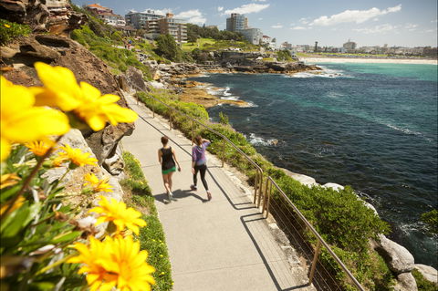 Bondi To Coogee Coastal Walk - Accommodation Search 2
