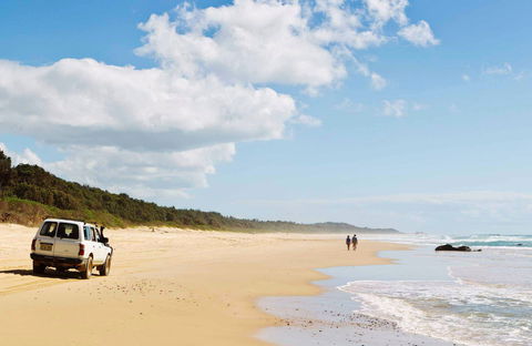 Bongil Bongil National Park - Accommodation Search 0