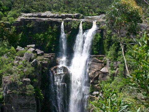 Carrington Falls - Accommodation Search 0