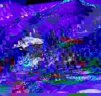 Glowing Rooms 3D Mini Golf - Accommodation Search