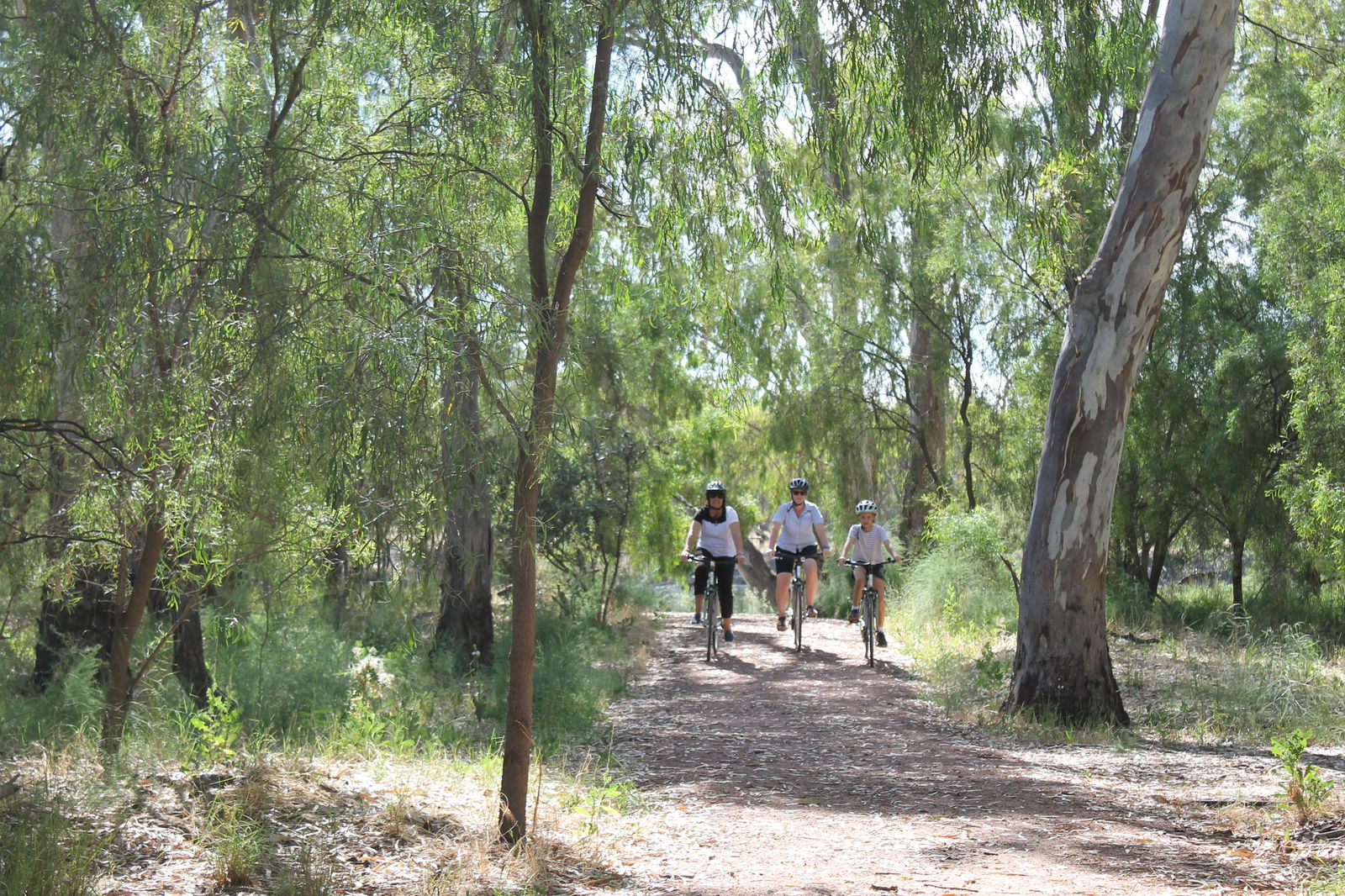 Hay South NSW Accommodation Search