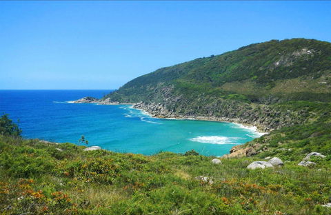 Little Bay Beach - Accommodation Search 0