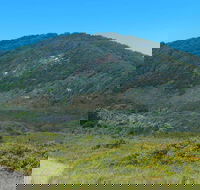 Monument Hill Walking Track - Accommodation Search