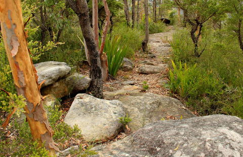 Mount Olive Trail - Accommodation Search 0