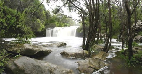Nellies Glen Carrington Falls - Accommodation Search 0