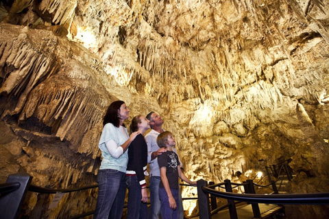 Ngilgi Cave - Accommodation Search 1
