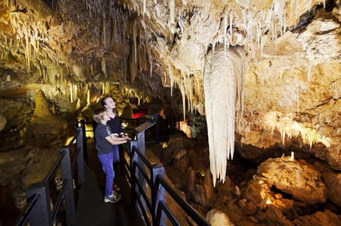 Ngilgi Cave - Accommodation Search 2