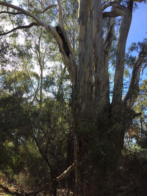 Northern Beaches - Accommodation Search 0