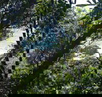 Rainforest Walking Track Hat Head National Park - Accommodation Search