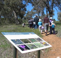 South Gundagai Woodlands Walk - Accommodation Search