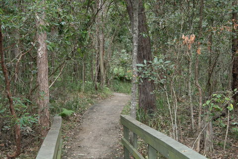 Springwood Conservation Park - Accommodation Search 0