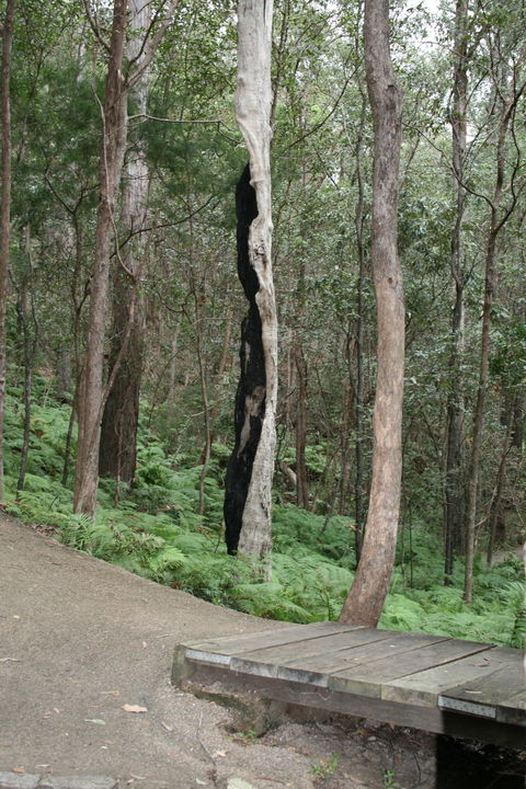 Springwood Conservation Park - Accommodation Search 1