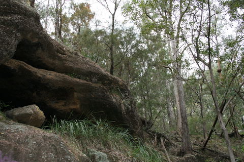 Springwood Conservation Park - Accommodation Search 2