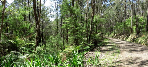 Tyers Park - Accommodation Search 0