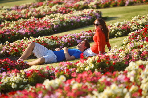 Victoria State Rose Garden At Werribee Park - Accommodation Search 1