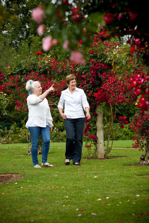 Victoria State Rose Garden At Werribee Park - Accommodation Search 2