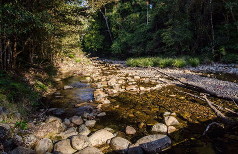 Wilson River Picnic Area - Accommodation Search 0