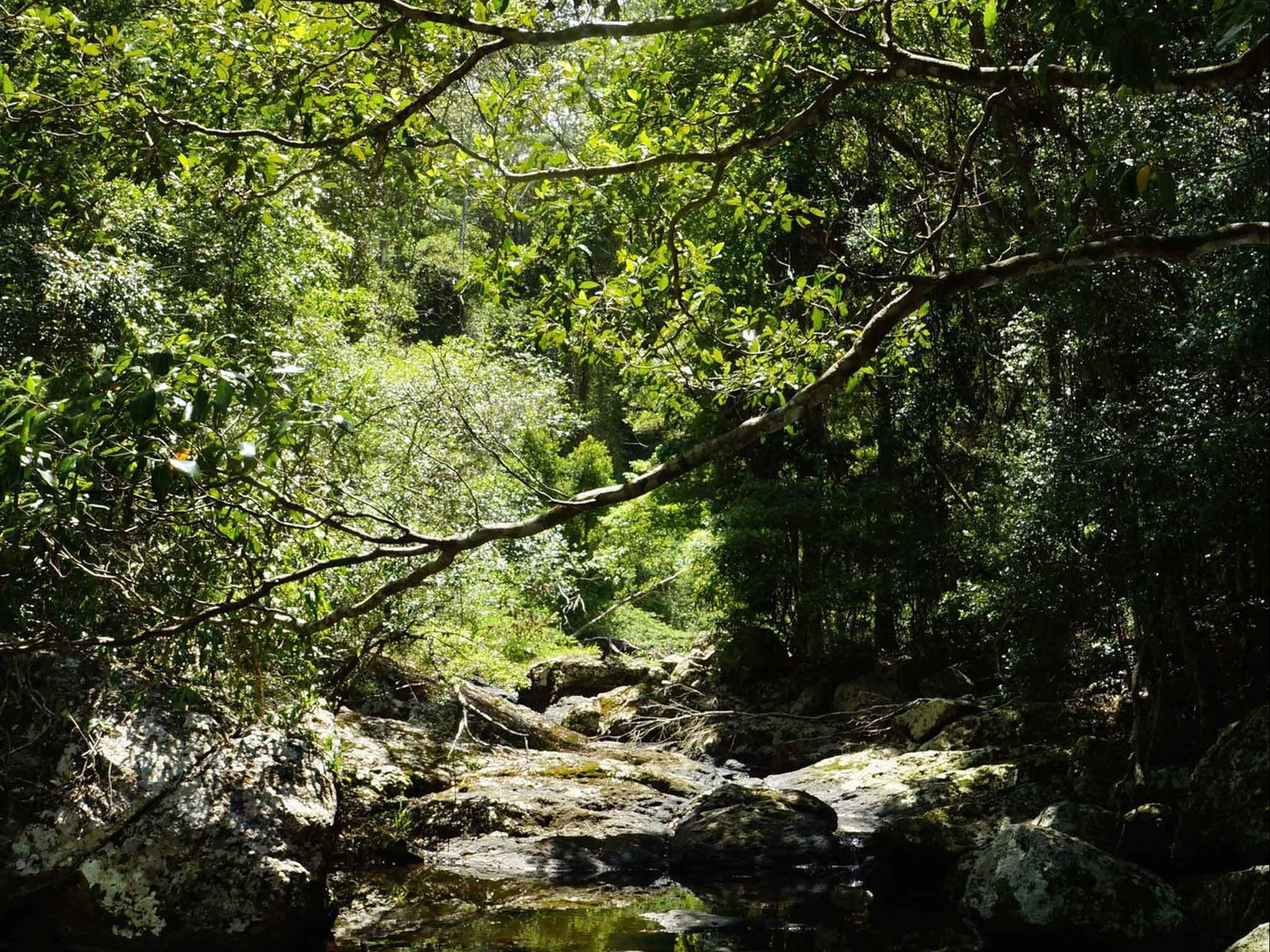 Witta QLD Accommodation Search
