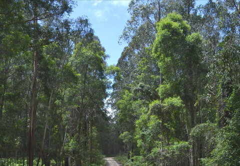 Alfred National Park - Accommodation Search 1