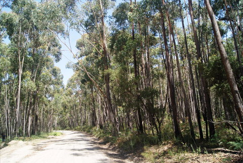 Alfred National Park - Accommodation Search 2