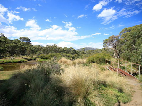 Bullocks Walking Track - Accommodation Search 0