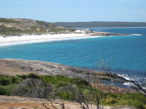 Cape Arid National Park - Accommodation Search 1