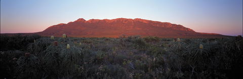 Cape Arid National Park - Accommodation Search 2