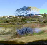 Centennial Park Beachport - Accommodation Search