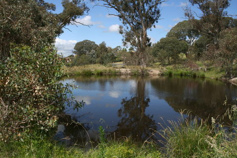Cooleman Ridge - Accommodation Search 0
