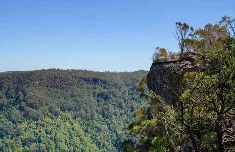 Cooks Nose Walking Track - Accommodation Search 0