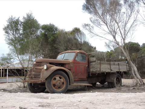Emu Ridge Eucalyptus Pty Ltd - Accommodation Search 2