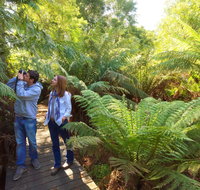 Endeavour Fern Gully Walks
